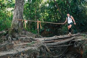 BIB: 
                            <button type="button" onclick="openModal(27751803)" class="btn btn-primary btn-sm float-right btn-popup" data-toggle="modal" data-target=".modal-high-quality">
                        <i class="fas fa-shopping-cart"></i> Add to Cart
                    </button>
                                            <button type="button" onclick="isThisMe(27751803, true)" class="btn btn-success btn-sm float-right btn-popup btn-isme hidden" data-toggle="tooltip" data-placement="bottom" title="นี่คือรูปของคุณใช่ไหม คลิกที่นี่เพื่อเอาเข้าอัลบั้ม">
                        <i class="fas fa-plus"></i> Add to album
                    </button>
                    <button type="button" onclick="isThisMe(27751803, false)" class="btn btn-warning btn-sm float-right btn-popup btn-isnotme hidden">
                        <i class="fas fa-ban"></i> Remove from album
                    </button>